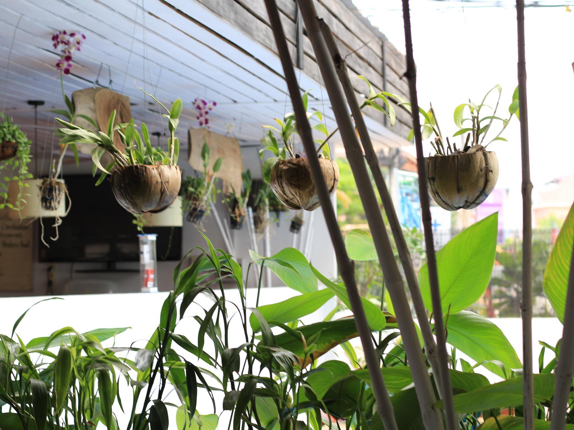 Sok San Street Boutique Hotell Siem Reap Eksteriør bilde